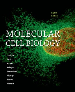 Instant Download; Test Bank for Molecular Cell Biology, 8th Edition By Harvey Lodish, Arnold Berk, Chris Kaiser, Monty Krieger