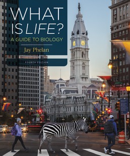 Instant Download; Test Bank for What is Life A Guide to Biology, 4th Edition By Jay Phelan